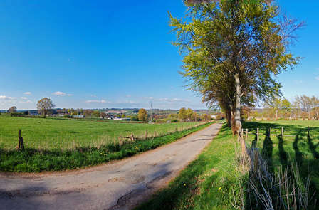 Découvrez la Campine à vélo dans un B&B à Turnhout