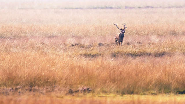 Lusso, fascino e ospitalità nella splendida Veluwe