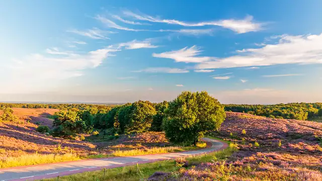 Naturaleza, lujo y hospitalidad en Veluwe
