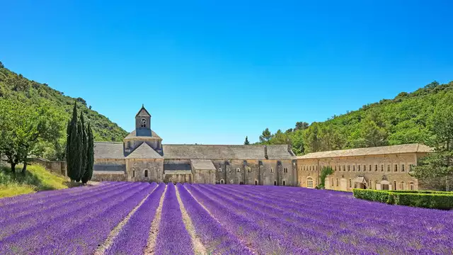 Ontdekking van het Lavendelmuseum en gastronomische vakantie vlak bij Avignon