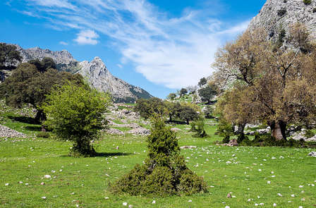 Escapada con picnic y hermosas vistas a Sierra Nevada