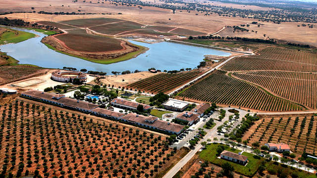 Hotel Rural Vila Gale Alentejo Vineyards Olive