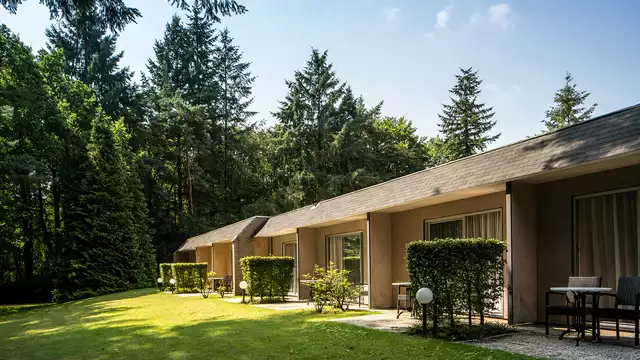 Relájate al máximo en la Veluwe: alójate en una cómoda habitación con terraza, rodeado de naturaleza