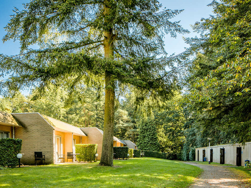 Découvrez et détendez-vous dans l'environnement boisé de la Veluwe - 4* - 12