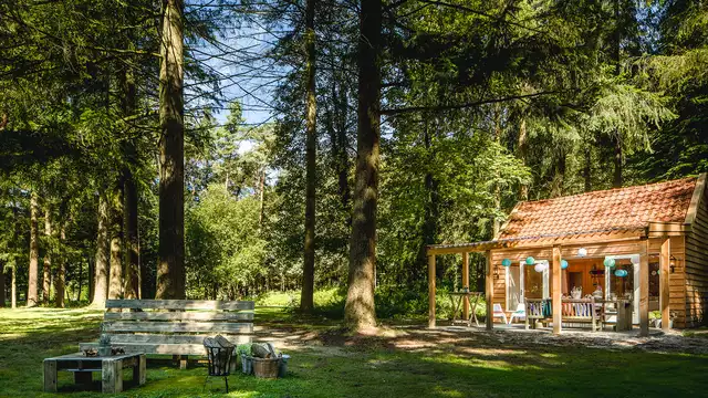 Plaisirs gastronomiques au cœur de la Veluwe