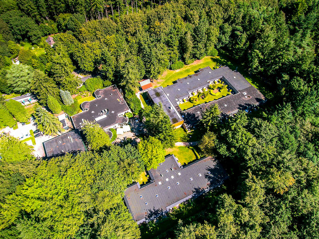 Découvrez et détendez-vous dans l'environnement boisé de la Veluwe - 4* - 11