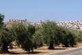 Hotel Palacio Guzmanes