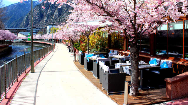 Acta Arthotel