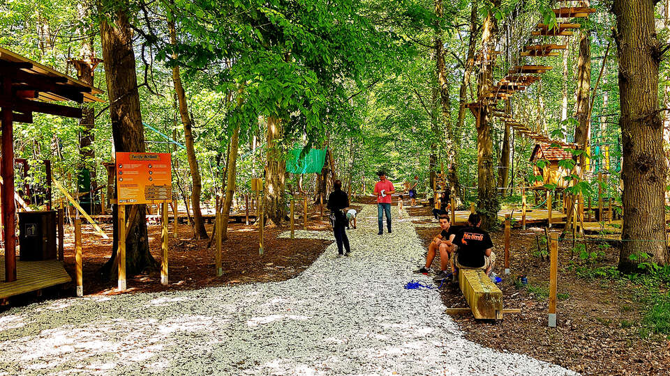 Parcours accrobranche et immersion dans la Nature aux portes de Paris