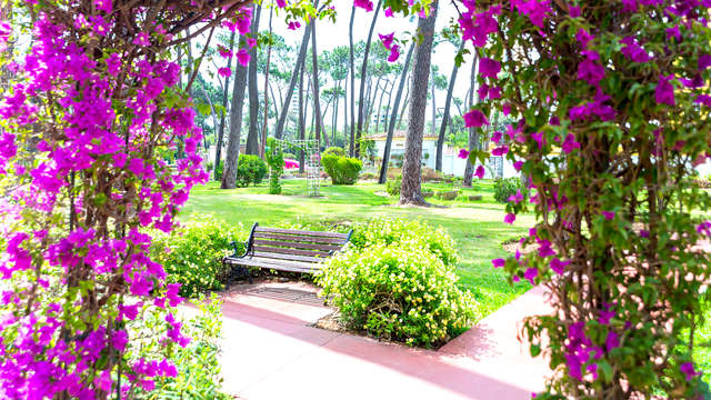 Las mejores vacaciones de tu vida cerca de Marbella y con todo incluido