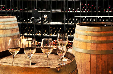 Découvrez les arômes du Somontano avec une dégustation de vins de la région