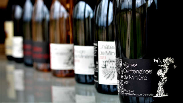 Degustación de vinos en la localidad de Chinon