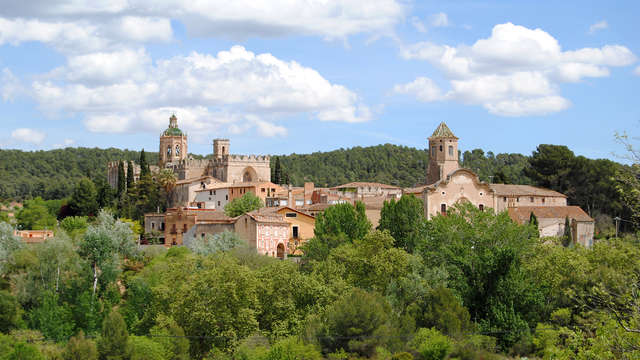 Esplora la terra del vino, nel cuore del Penedès!