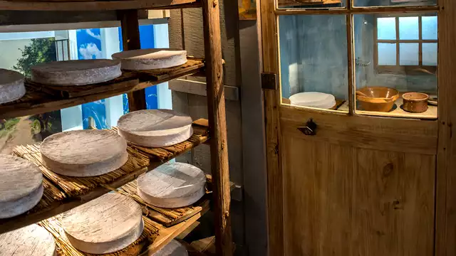 Ambiance chaleureuse avec visite et dégustation à la Maison du Brie