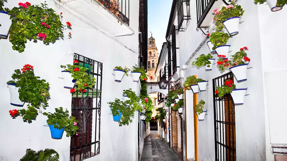 Viaja a Cordoba y enamorate de sus hermosas calles
