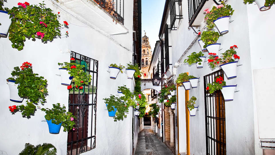 Hotel Macià Alfaros - Edit_Cordoba5.jpg
