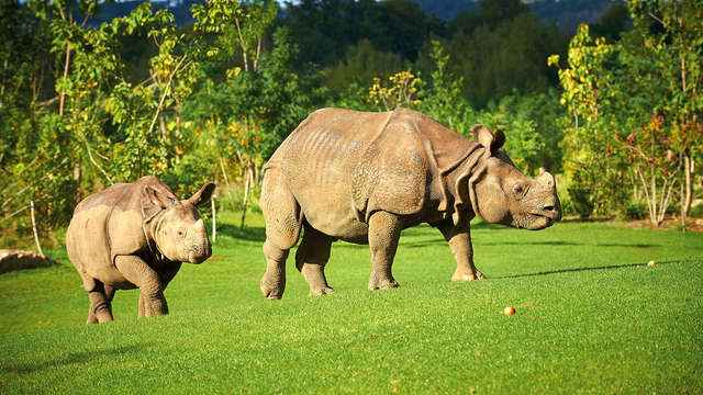 ¡Un viaje redondo por el mundo gracias al GaiaZoo! Con estancia en Valkenburg (desde 2 noches)