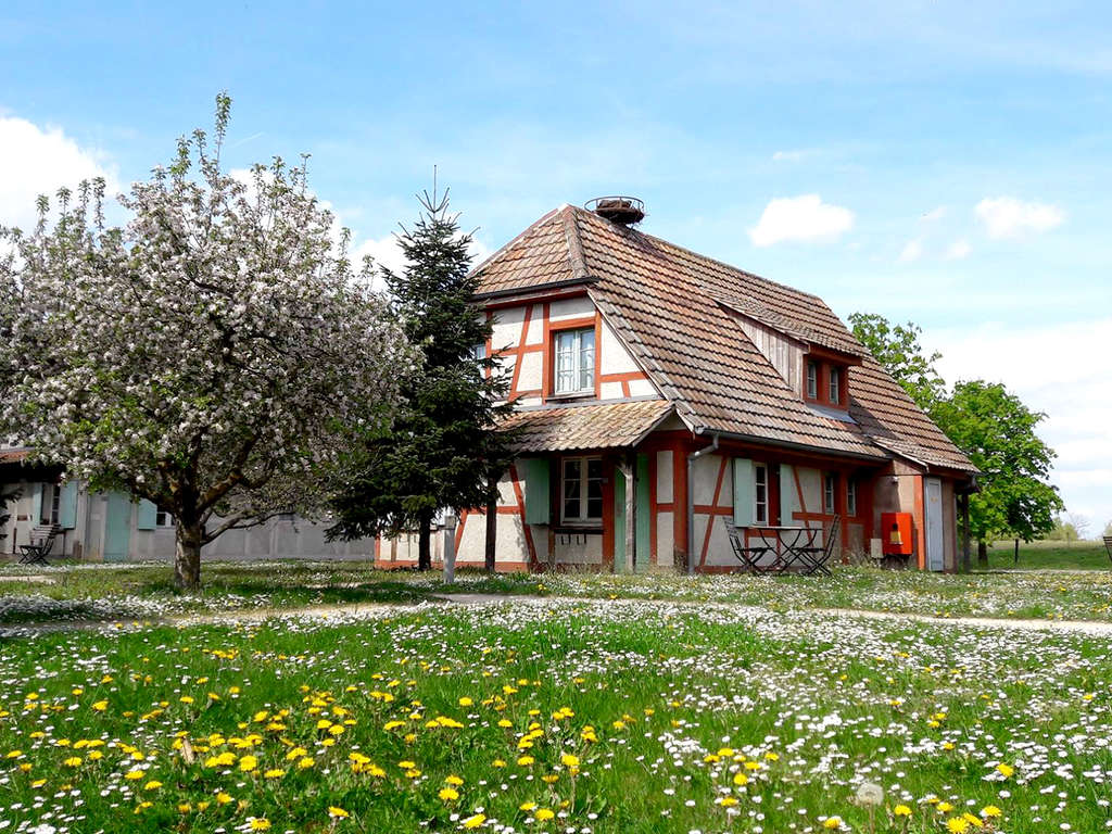 Séjour En Couple À L'entrée Du Parc Du Petit Prince Et De L'ecomusée D'alsace (ref 459)
