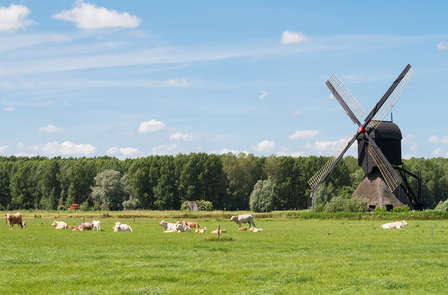 Verken de Brabantse natuur tijdens een paar dagen weg