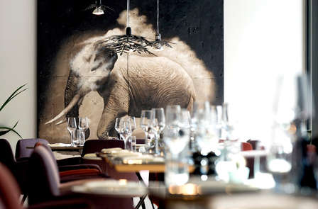 Plaisir culinaire avec dîner et détente au Wellness