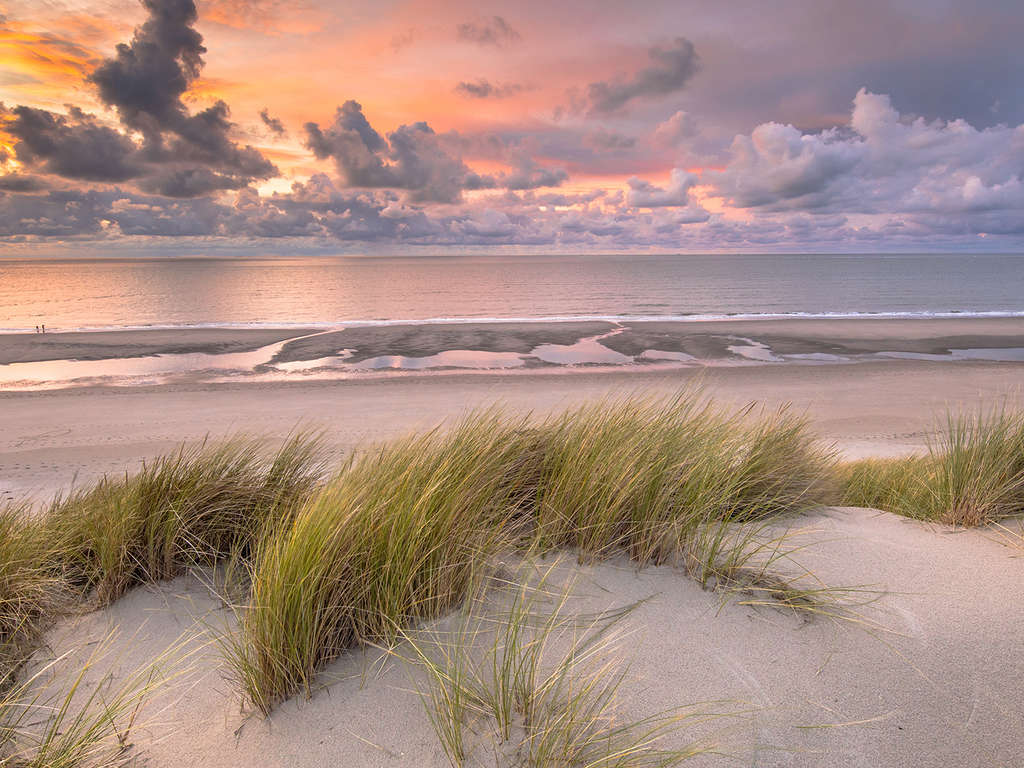 Luxe, confort et détente sur la côte zélandaise - 4* - 7