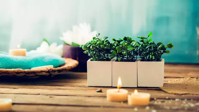 Massimo relax con spa privata a Vichy
