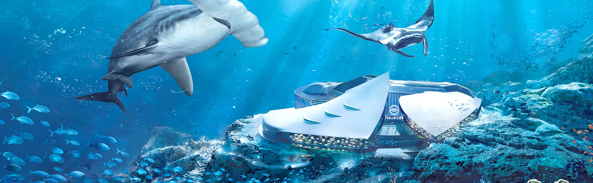 Visitez Lille et le plus grand Aquarium d'Europe à 1h30