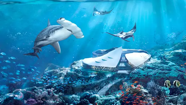 Visita Lille y el acuario más grande de Europa a 1 hora y 30 minutos.