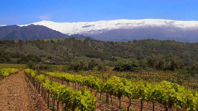 Hotel Winery Senorio de Nevada