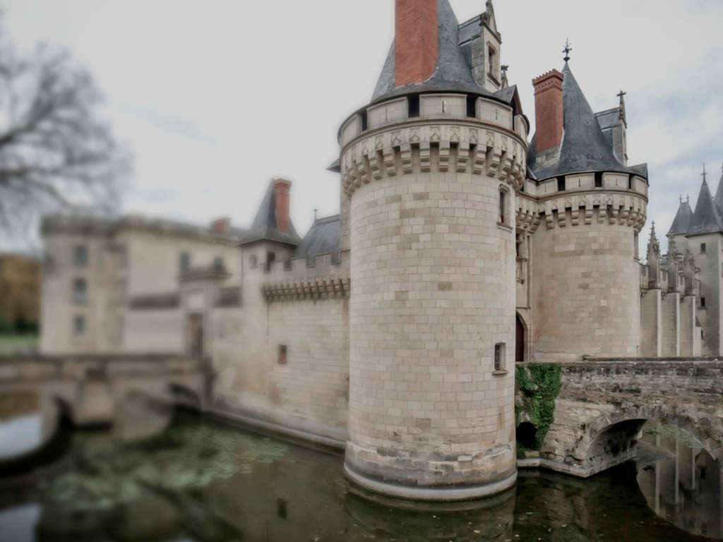 Vie de château et bien-être avec accès spa - 22