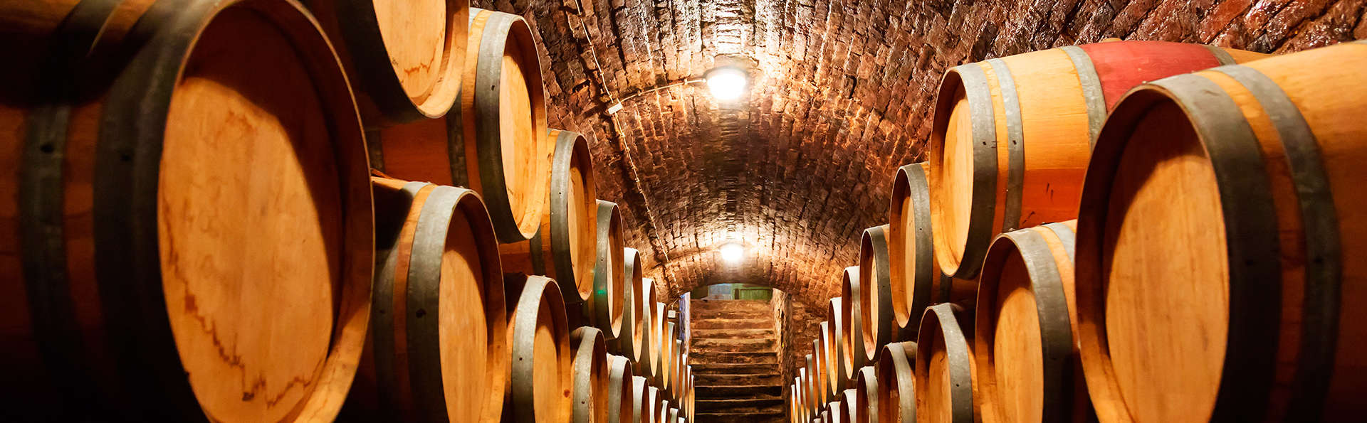 Visite d'une cave à vin et demi-pension en Aragon (à partir de 2 nuits)
