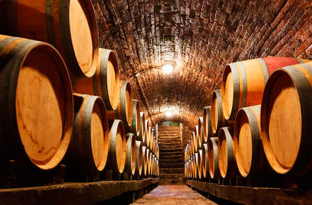 Visite d'une cave à vin et demi-pension en Aragon (à partir de 2 nuits)