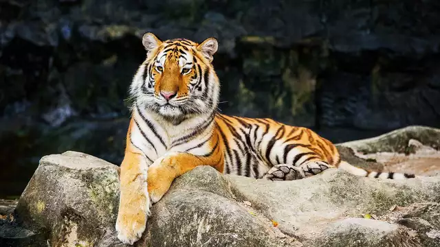 Séjour à Aix-en-Provence avec entrées au Zoo de la Barben
