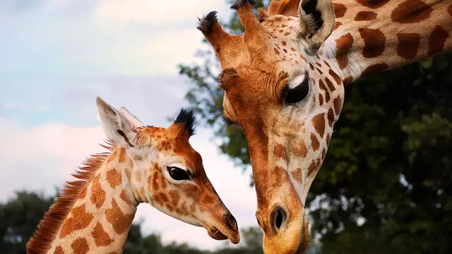 Profitez d'Aix en Provence avec une journée au zoo de la Barben