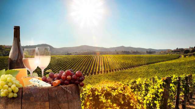Escapada con Spa  en Logroño y visita a la emblemática Bodega Marqués de Cáceres