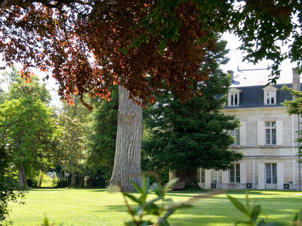 Luxe, nature et spa à moins d'une heure de Bordeaux - 5