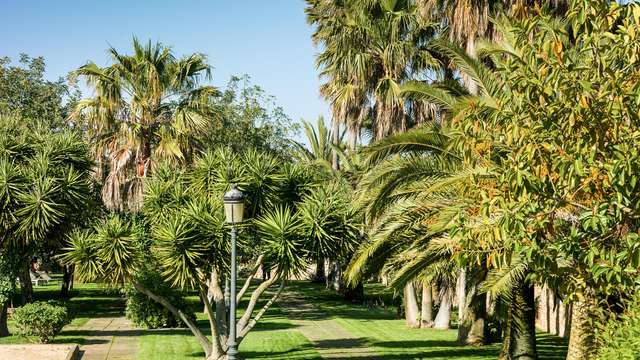 Sa Bassa Rotja Ecoturisme