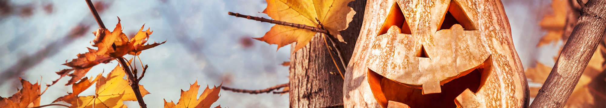 Week end Halloween Francia