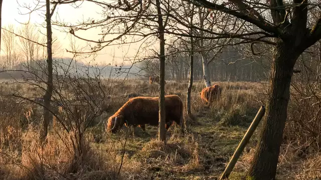 Voordelig overnachten bij het groene Voorne-Putten
