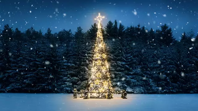 Plongez vous dans l´ambiance de Noël à Lille