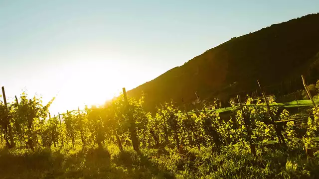 Séjour gastronomique à Trévise avec prosecco et dîner à Valdobbiadene (3 nuits)