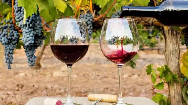 Enotursimo & Gastronomía con comida o cena y cata de vinos en Ciudad Real