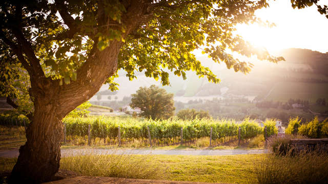 Borgo Conde Wine Resort