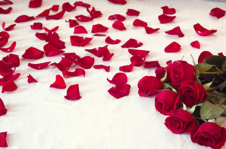 Romantiek met champagne aan de rand van Nantes