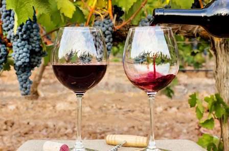 Œnotourisme près du Désert des Bardenas