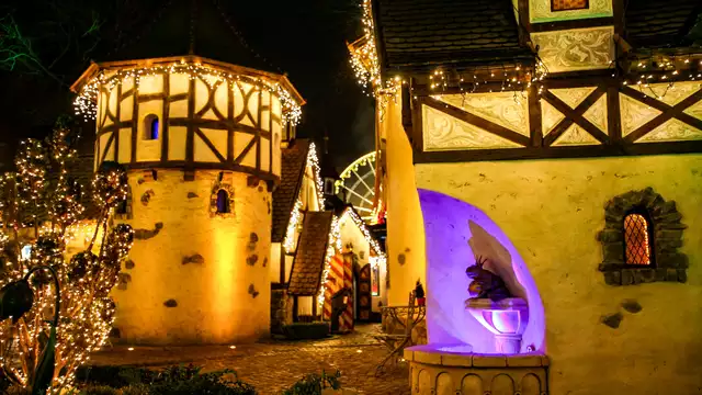 Sejour à Molsheim,avec piscine, spa et des Billets d'entrée Europa-Park (2 jours de parc)