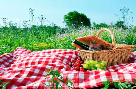 Verken Magazón en Doñana, inclusief picknickmand
