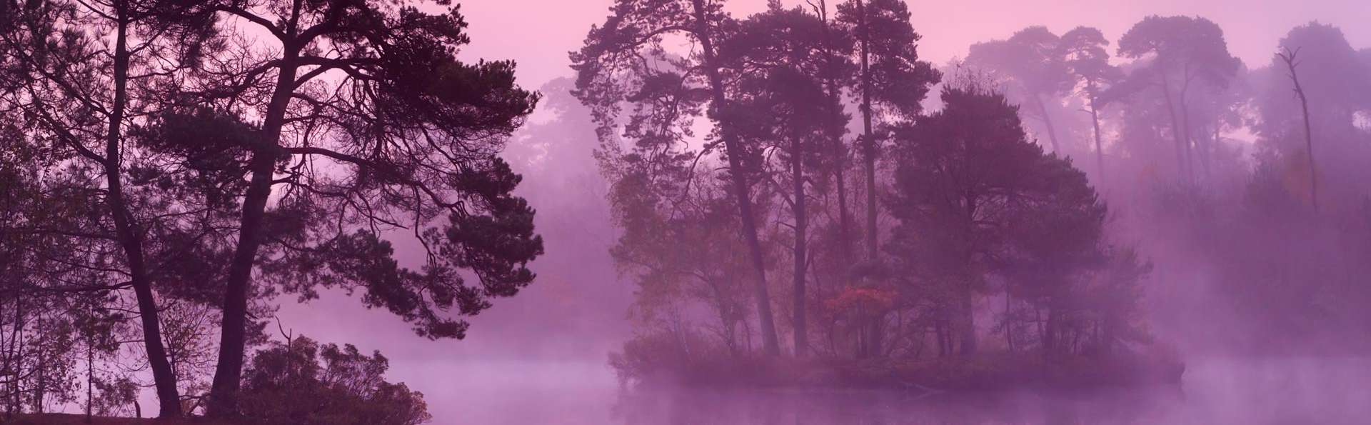 Best Western Hotel Nobis - EDIT_DESTINATION_02.jpg