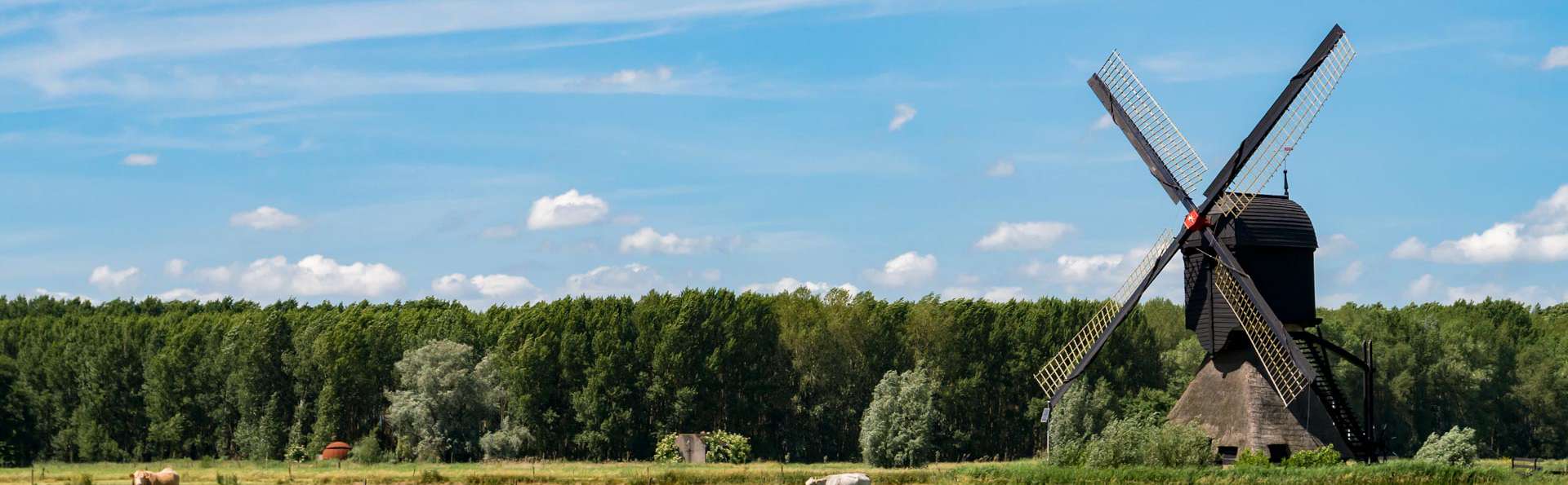 Best Western Hotel Nobis - EDIT_DESTINATION_04.jpg