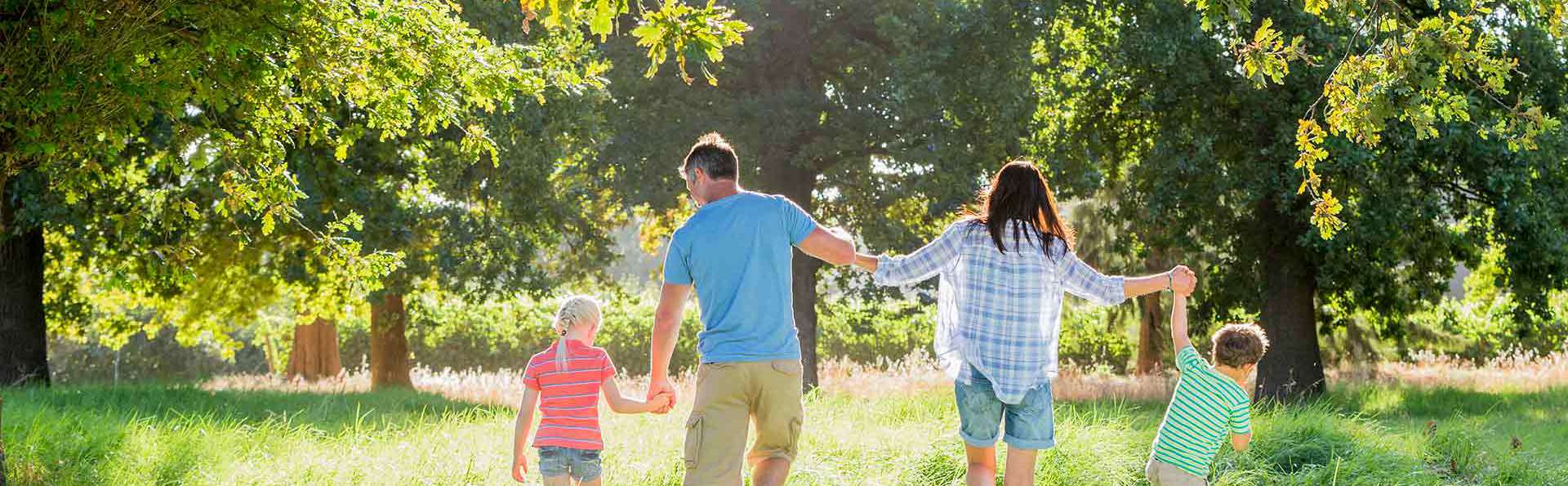 Découvrez Ronda et Sierra Grazalema en famille ou entre amis
